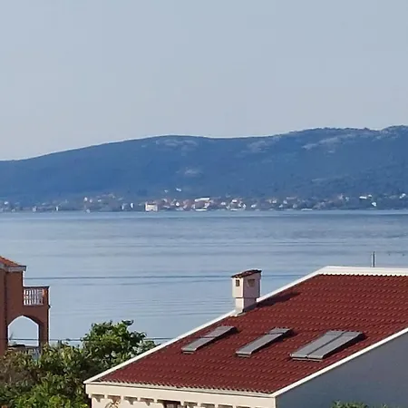 Elvis 3 Сукошан